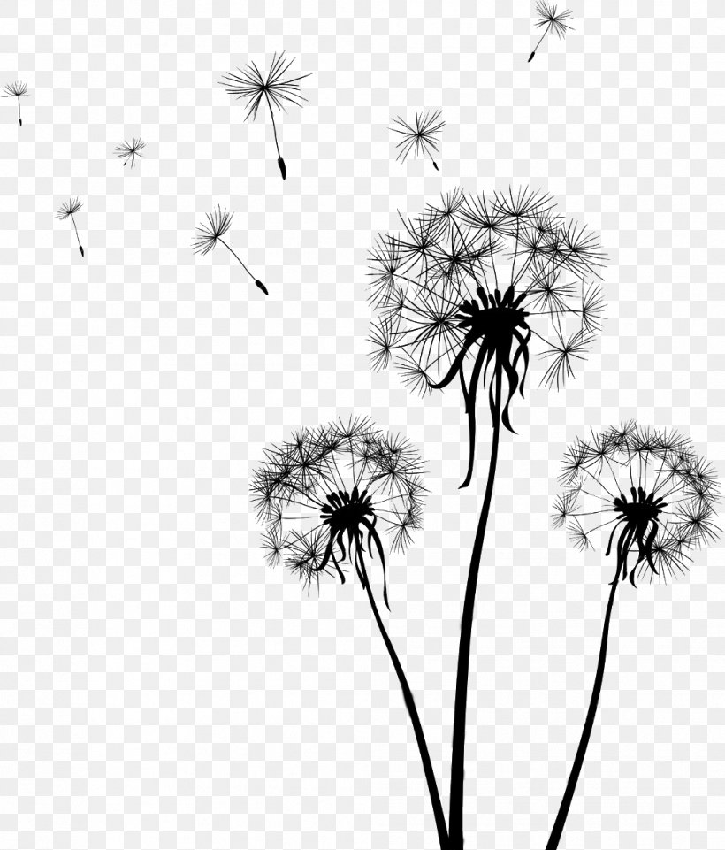 Drawing Dandelion Clip Art, PNG, 1006x1180px, Drawing, Art, Black, Black And White, Can Stock Photo Download Free