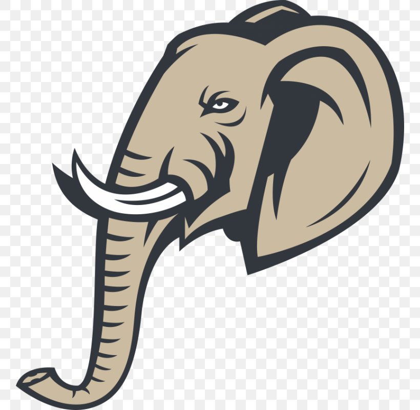 Indian Elephant African Elephant Clip Art, PNG, 800x800px, Indian Elephant, African Elephant, Contour, Elephant, Elephants And Mammoths Download Free