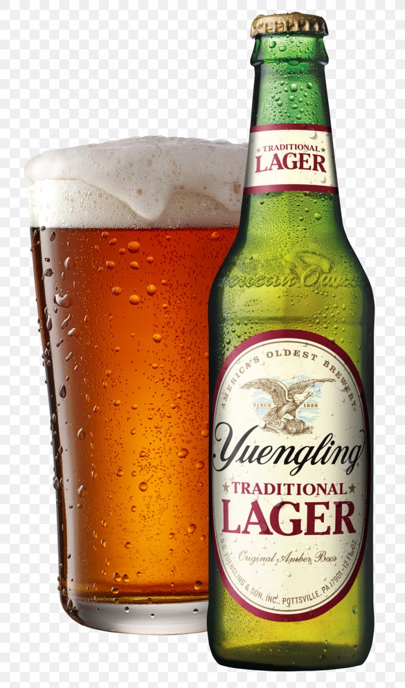 Yuengling Beer Lager Pilsner Brewery, PNG, 1000x1698px, Yuengling, Alcohol, Alcoholic Beverage, Ale, Beer Download Free