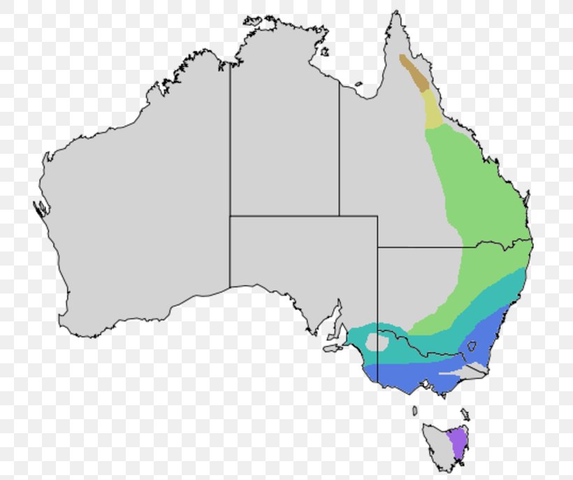 Australia Noisy Miner Distribution Bell Miner Map, PNG, 760x687px, Australia, Area, Company, Distribution, Ecoregion Download Free
