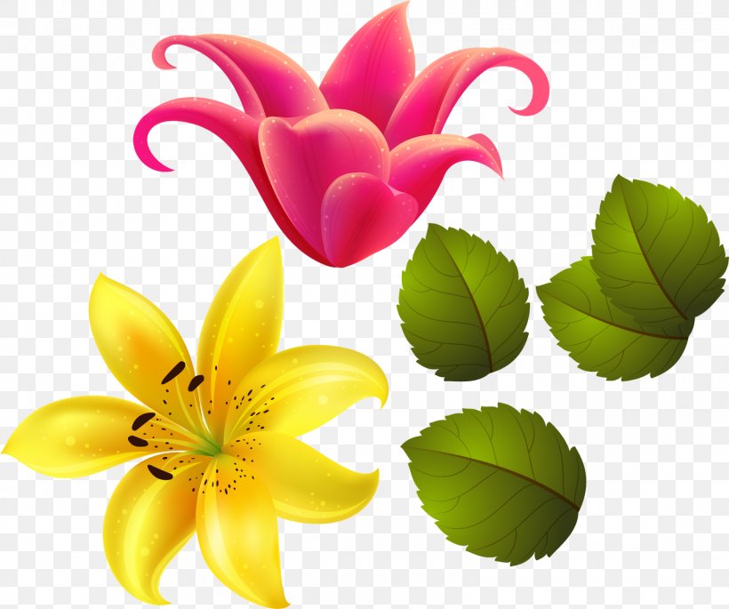 Flower Lilium Gift Floral Design Petal, PNG, 1600x1338px, Flower, Birthday, Blog, Blue, Color Download Free