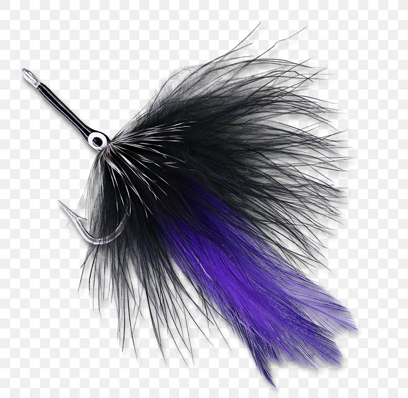 Purple, PNG, 800x800px, Purple, Feather, Wing Download Free