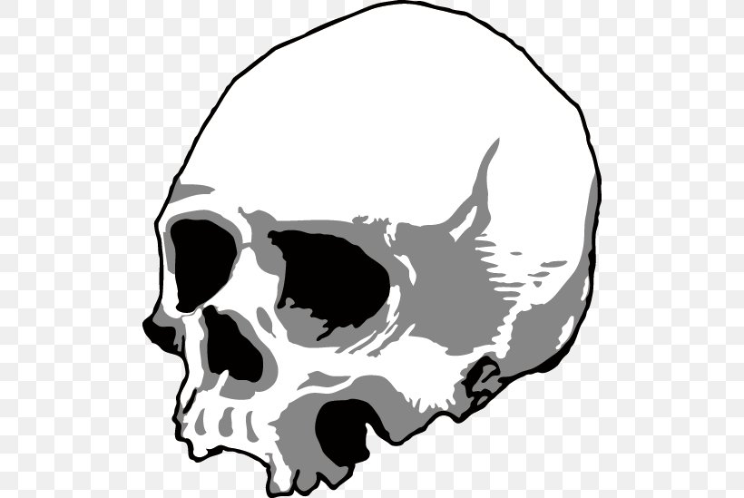 Skull Silhouette Head U9ab7u9ac5, PNG, 506x549px, Skull, Audio, Black And White, Bone, Carnivoran Download Free