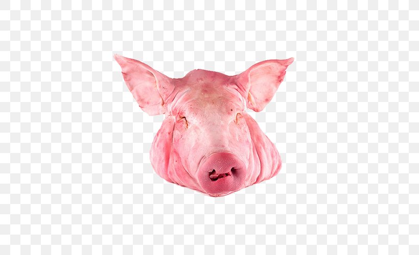 Domestic Pig Pig's Ear Porchetta Pork, PNG, 500x500px, Pig, Beef, Chicken Meat, Domestic Pig, Duck Meat Download Free