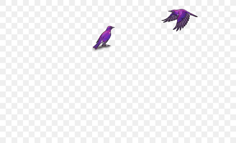 Feather Beak, PNG, 640x500px, Feather, Beak, Bird, Purple, Violet Download Free