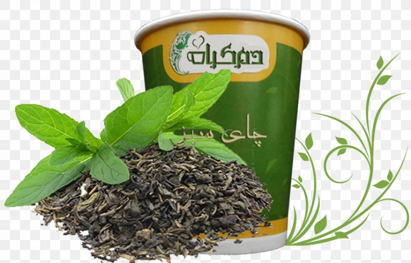 Green Tea Matcha English Breakfast Tea Ceylon Tea, PNG, 875x562px, Green Tea, Basilur, Ceylon Tea, English Breakfast Tea, Flower Download Free
