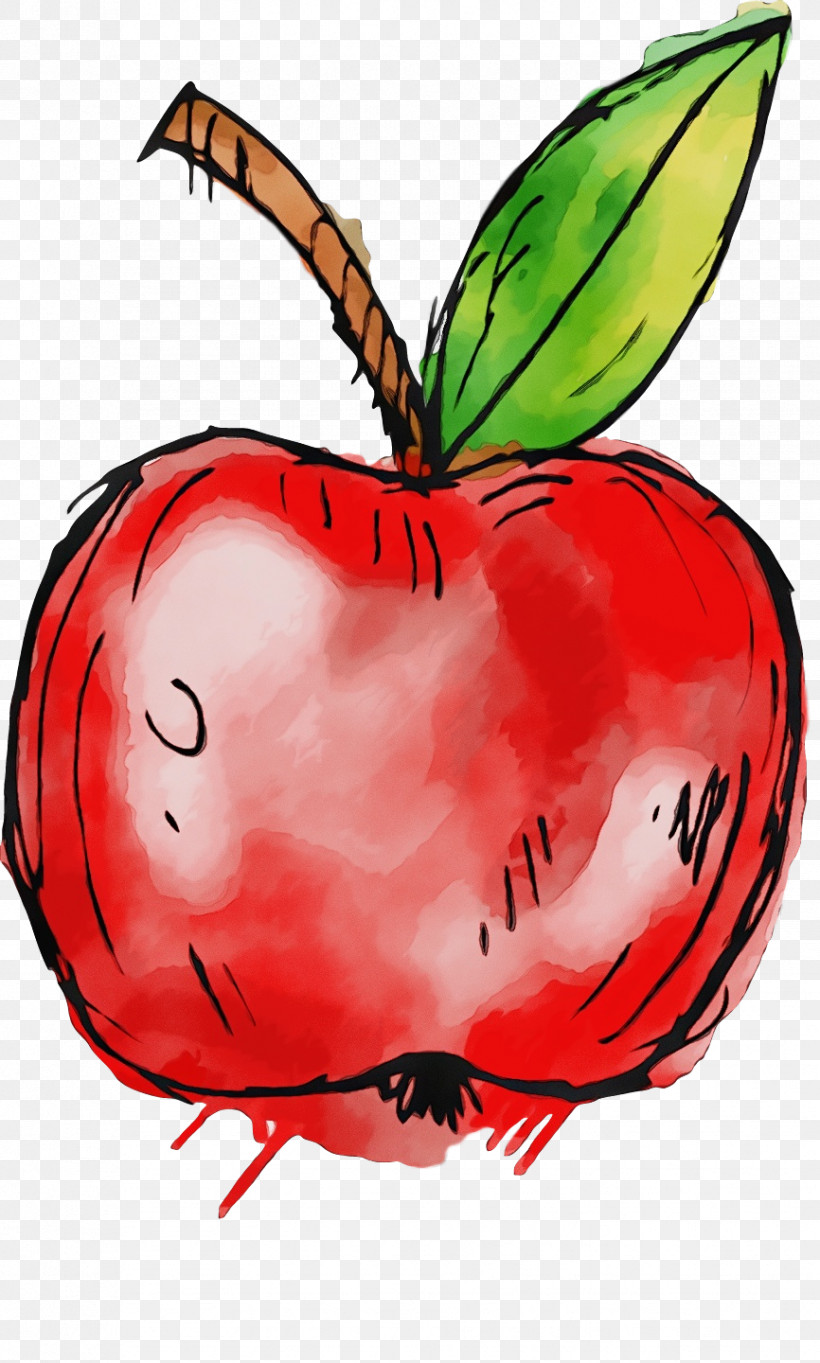 Insect Vegetable Fruit Apple, PNG, 866x1440px, Watercolor, Apple, Fruit, Insect, Paint Download Free