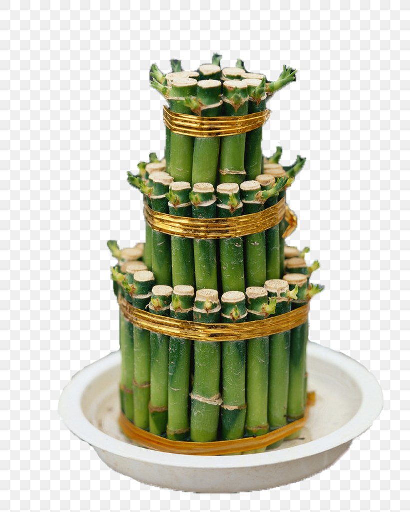 Lucky Bamboo China Chinese New Year Plant, PNG, 820x1024px, Lucky Bamboo, Aquatic Plant, Bamboo, Bonsai, Buttercream Download Free