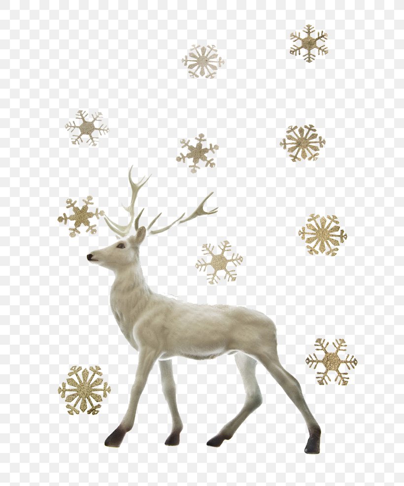 Reindeer Santa Claus Christmas, PNG, 658x987px, Deer, Antler, Branch, Christmas, Christmas Tree Download Free