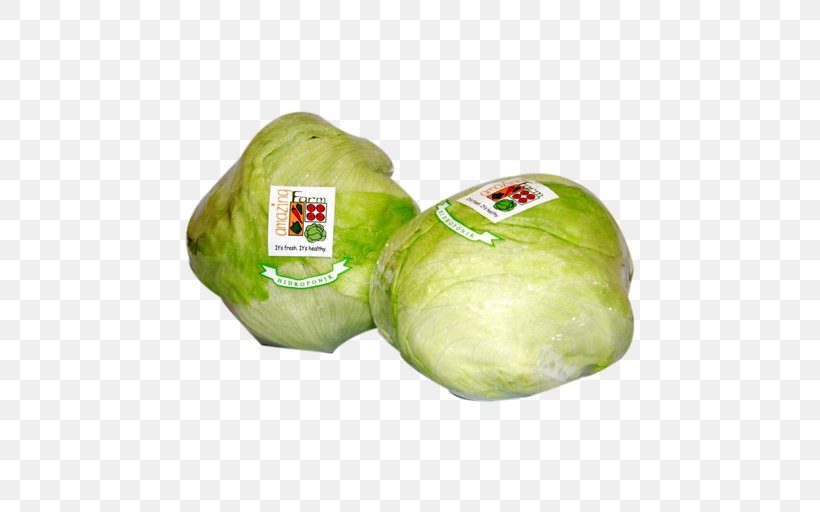 Cruciferous Vegetables Leaf Vegetable Lettuce Oak, PNG, 512x512px, Cruciferous Vegetables, Agriculture, Cabbage, Capitata Group, Endive Download Free