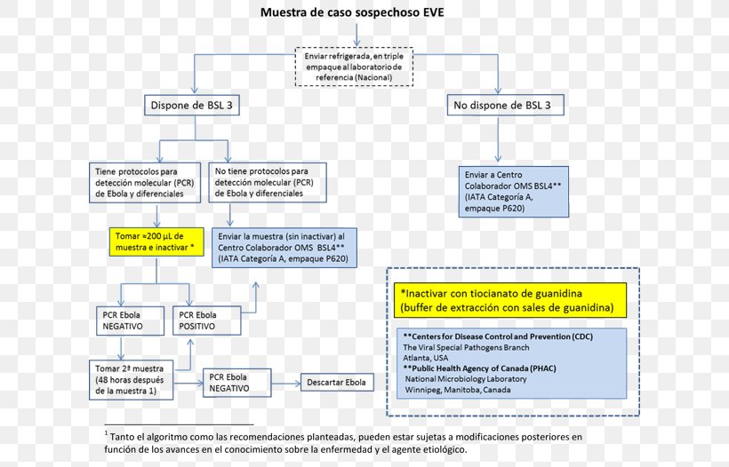 Laboratory Ebola Virus Disease Algorithm Sample Medical Diagnosis, PNG, 620x526px, Laboratory, Algorithm, Area, Diagram, Disease Download Free