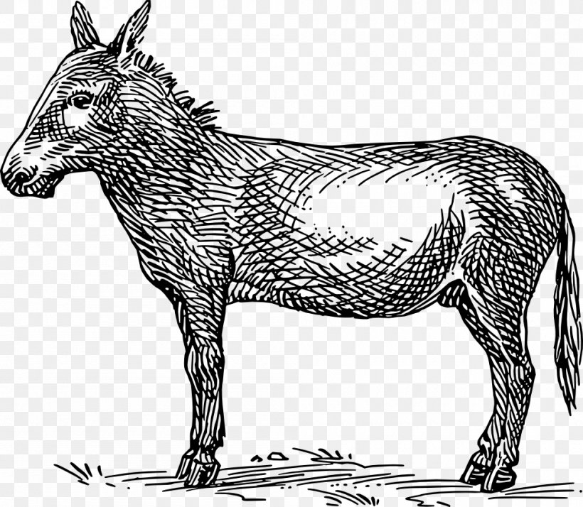 Donkey Clip Art, PNG, 1000x871px, Donkey, Animal Figure, Art, Black And White, Drawing Download Free
