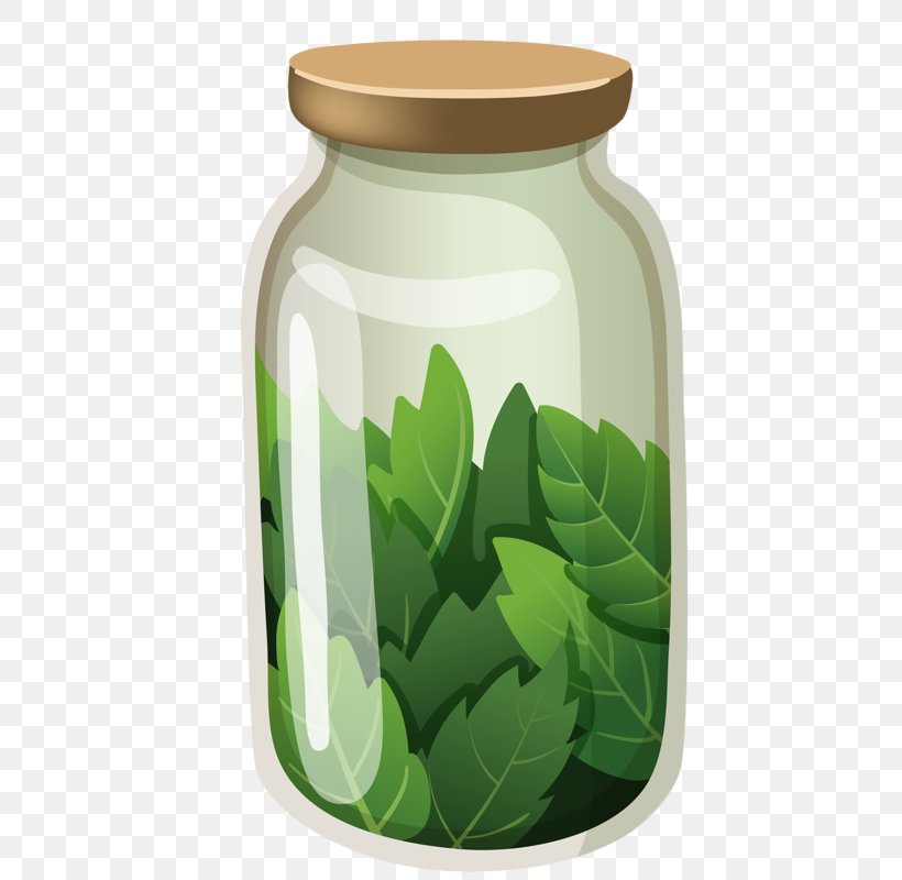 Image Bottle Drawing Cartoon, PNG, 436x800px, Bottle, Animation, Cartoon, Drawing, Essential Oil Download Free