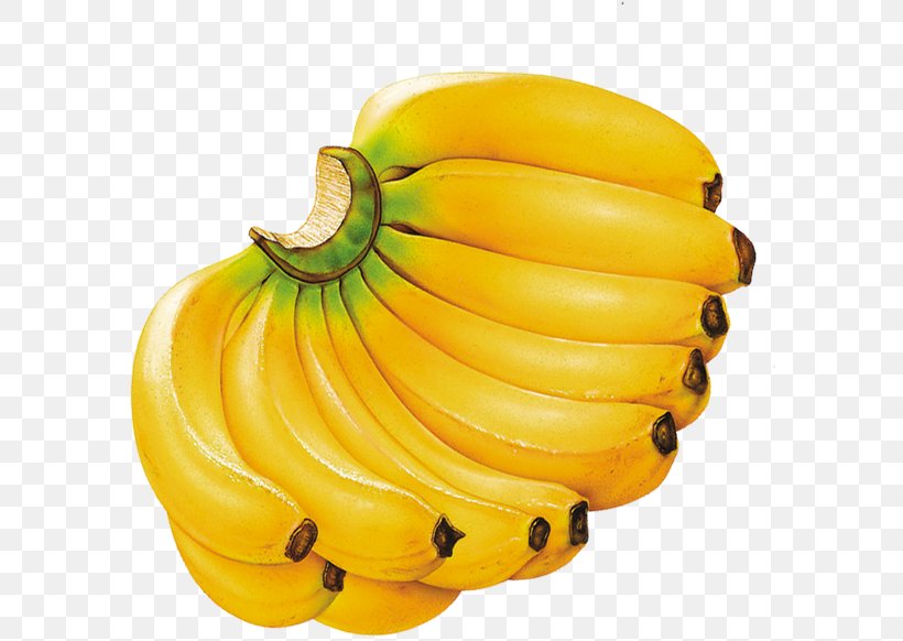 Banana Milkshake Fruit Eating Food, PNG, 591x582px, Banana, Banana Family, Banana Powder, Cucurbita, Diet Download Free