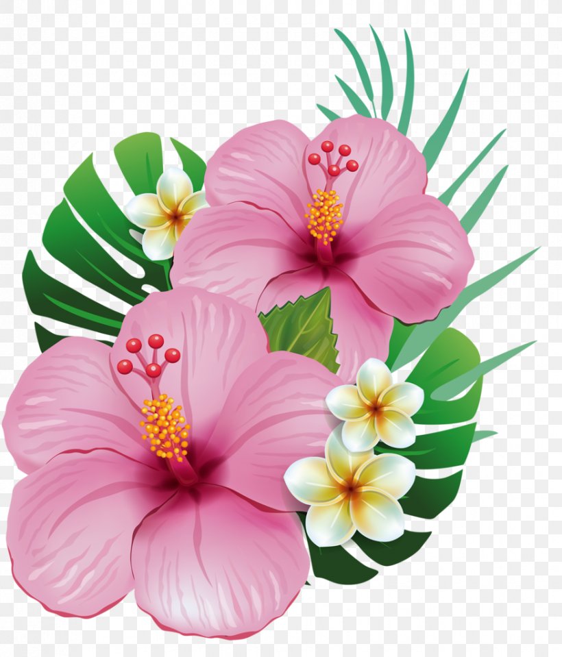 Hawaii Shoeblackplant Common Hibiscus Flower Clip Art, PNG, 875x1024px, Hawaii, Alstroemeriaceae, Annual Plant, Chinese Hibiscus, Color Download Free