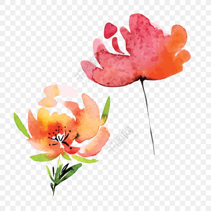 Watercolor Painting Watercolor: Flowers Transparent Watercolor Image, PNG, 1024x1024px, Watercolor Painting, Botany, Cartoon, Coquelicot, Drawing Download Free