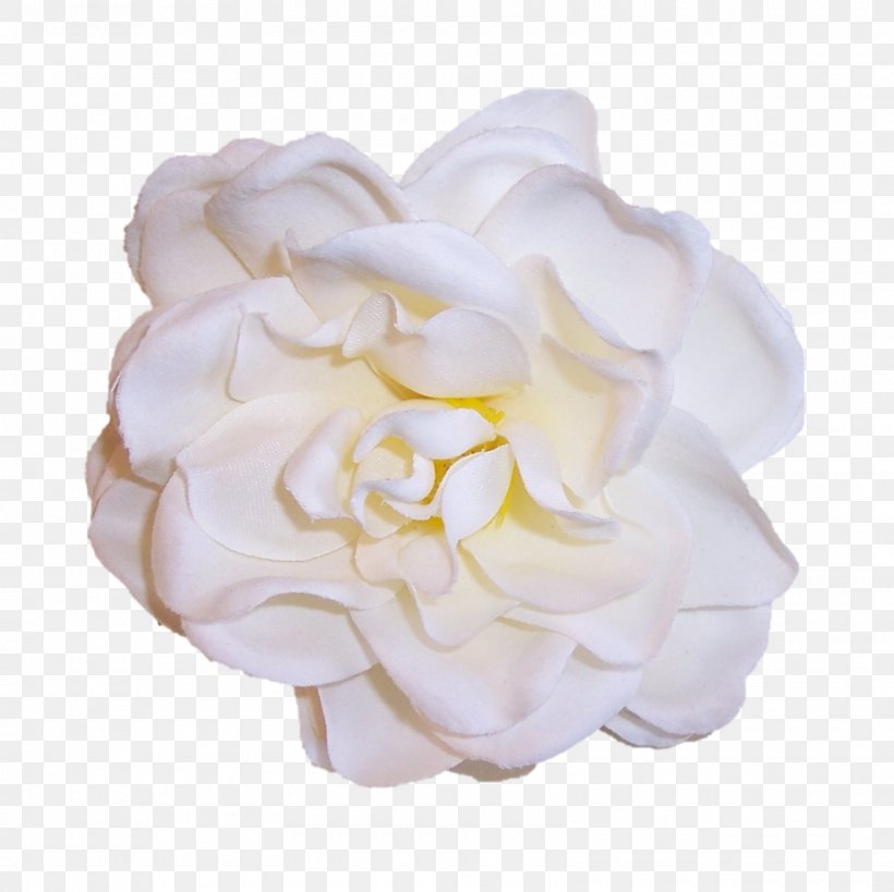 Brooches & Pins Garden Roses Brooches & Pins Jewellery, PNG, 1600x1600px, Brooch, Artificial Flower, Barrette, Brooches Pins, Cabbage Rose Download Free