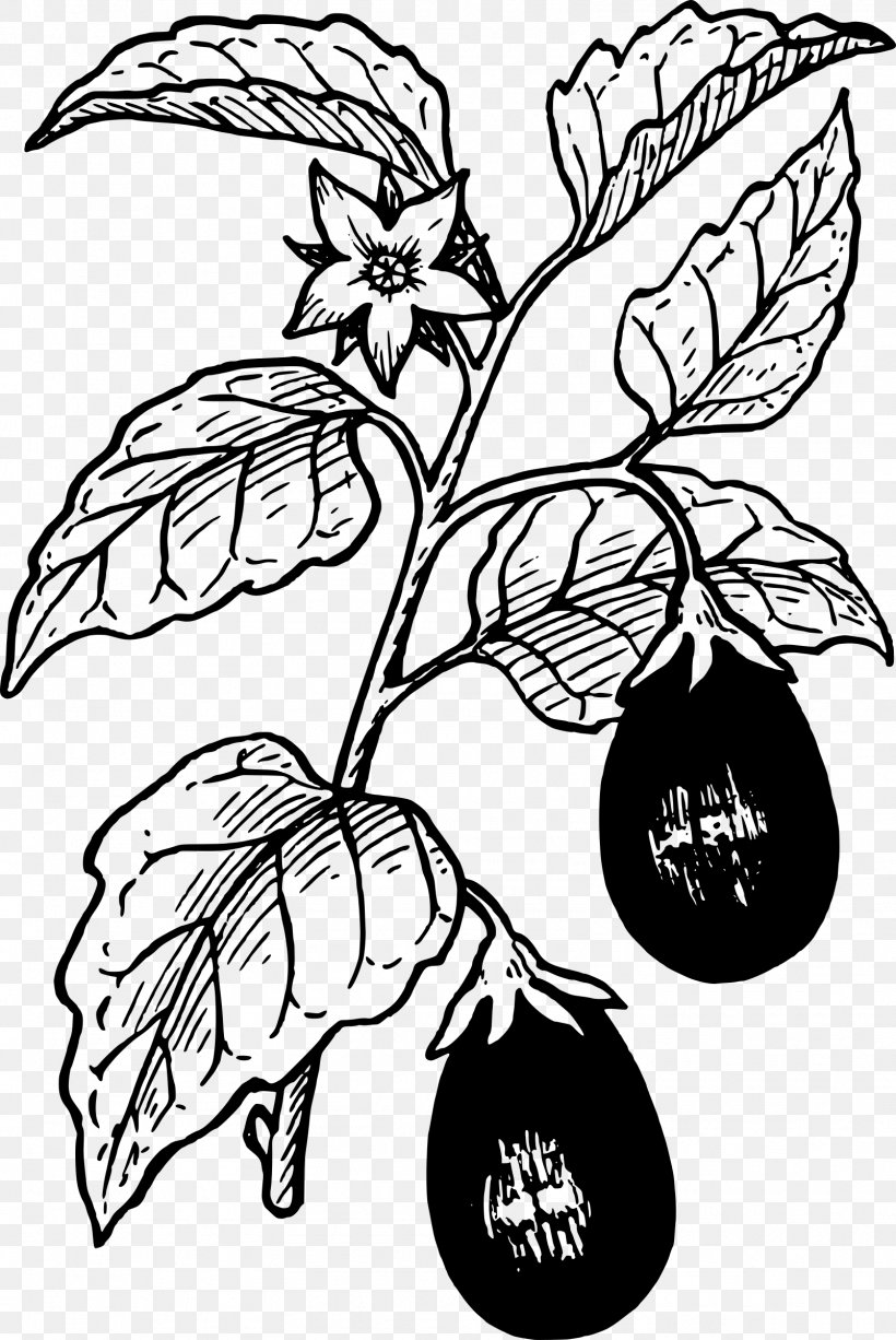 Eggplant Vegetable Clip Art, PNG, 1604x2400px, Eggplant, Artwork, Black And White, Branch, Drawing Download Free