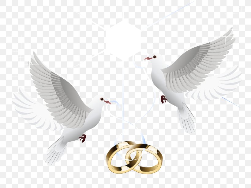 Wedding Ring Marriage Wedding Ring, PNG, 792x612px, Wedding Invitation, Beak, Bird, Bride, Ceremony Download Free
