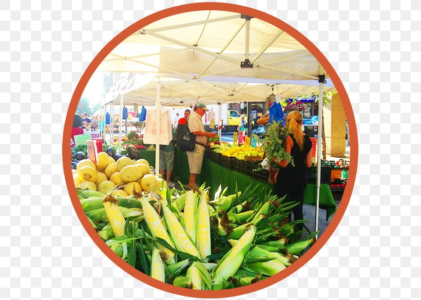 Farmers' Market Agricultural Manager Produce Vegetable Food, PNG, 577x584px, Vegetable, Agriculture, Farm, Food, Fruit Download Free