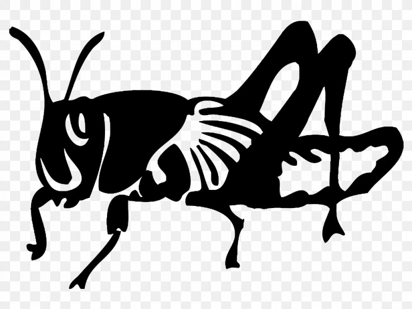 Insect Black Locust Silhouette Public Relations, PNG, 1024x768px, Insect, Art, Black, Black And White, Black Locust Download Free