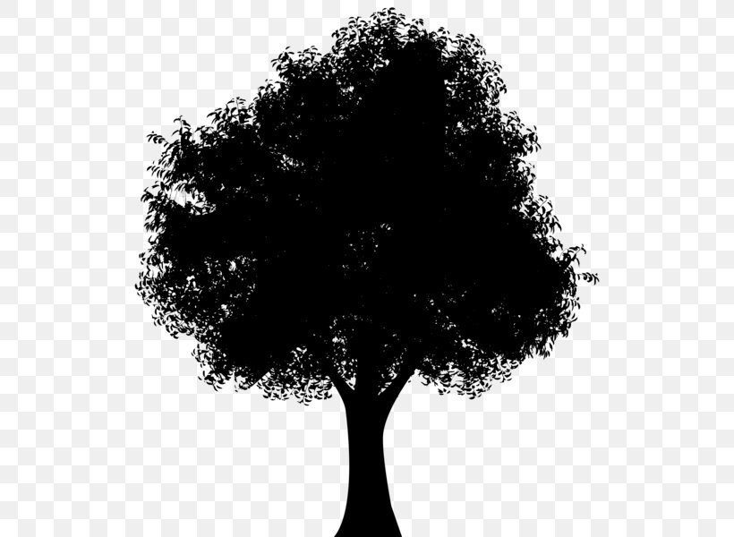Silhouette Tree Clip Art, PNG, 548x600px, Silhouette, Art, Black And ...