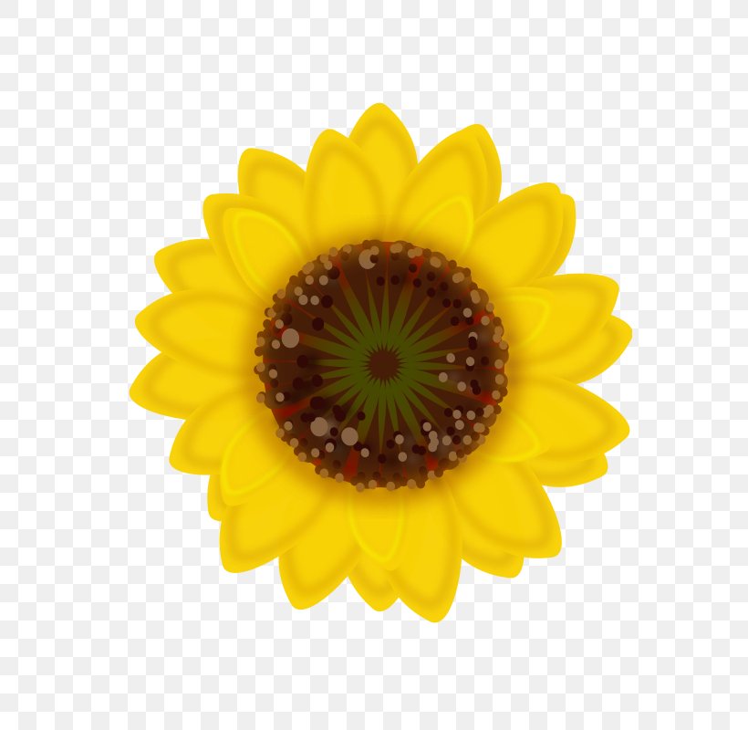 Common Sunflower Sunflower Seed Sticker Transvaal Daisy, PNG, 566x800px, Common Sunflower, Asterales, Daisy Family, Emoji, Flower Download Free