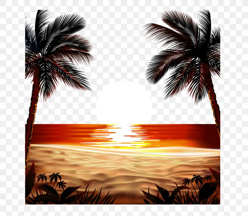 Euclidean Vector Sunrise Vector Field, PNG, 2853x2491px, Sunrise, Arecaceae, Arecales, Element, Palm Tree Download Free