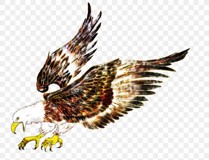 Eagle Bird Hawk Flight, PNG, 965x738px, Bird, Animal, Beak, Bird Of Prey, Drawing Download Free