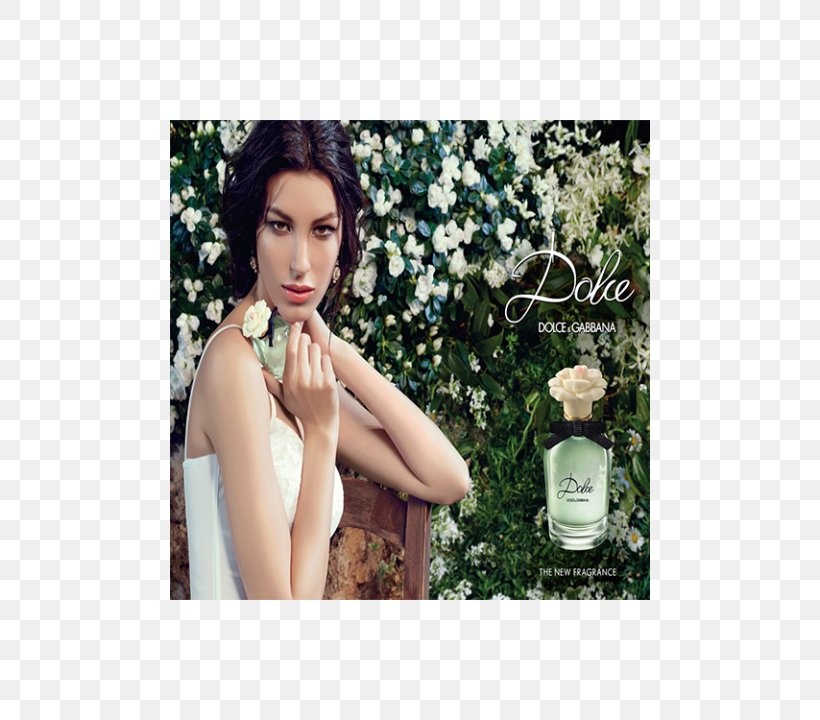 Perfume Dolce & Gabbana Aroma Eau De Toilette Fashion, PNG, 480x720px, Perfume, Aroma, Beauty, Black Hair, Brown Hair Download Free