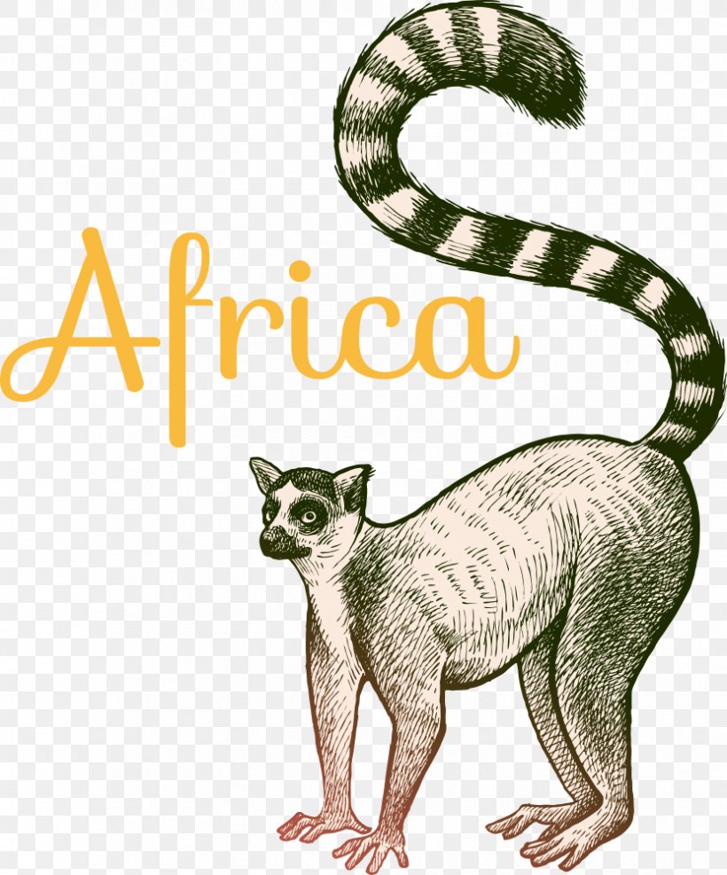 Vector Cartoon Ring-tailed Lemur, PNG, 830x1000px, Lemur, Animal, Art, Carnivoran, Cat Download Free