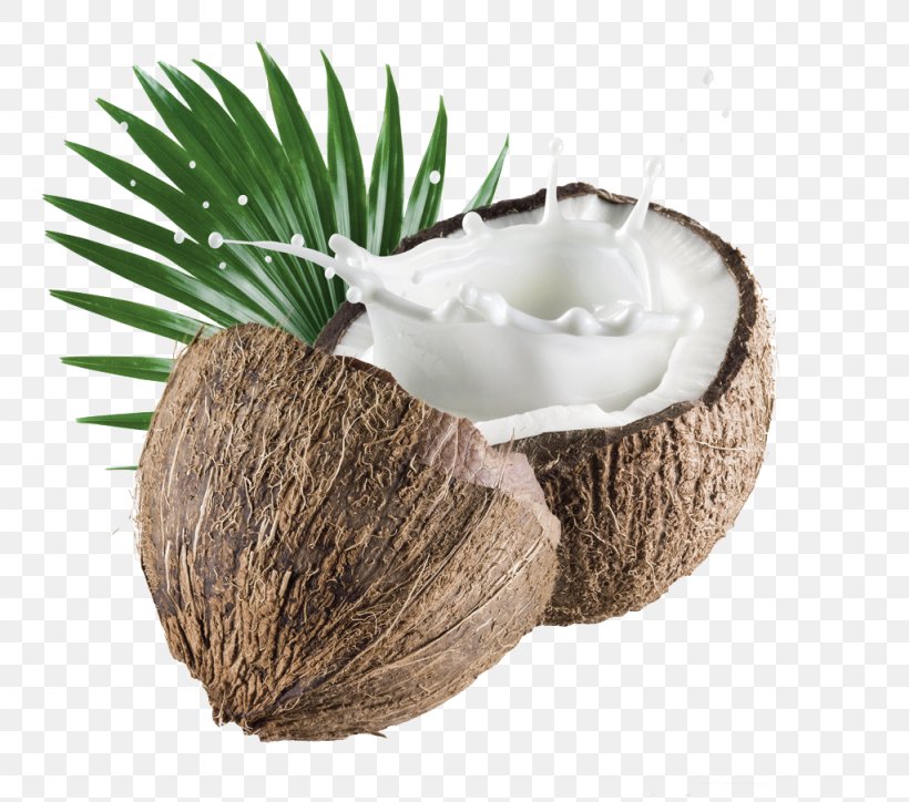Coconut Milk Powder Organic Food Coconut Water, PNG, 1024x905px, Coconut Milk, Coconut, Coconut Milk Powder, Coconut Oil, Coconut Water Download Free