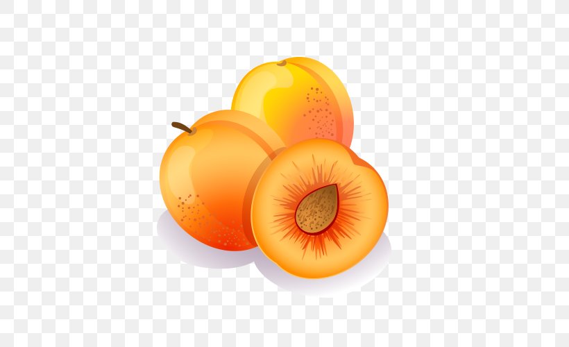 Euclidean Vector Peach Photography Illustration, PNG, 500x500px, Peach, Can Stock Photo, Diet Food, Food, Fruit Download Free