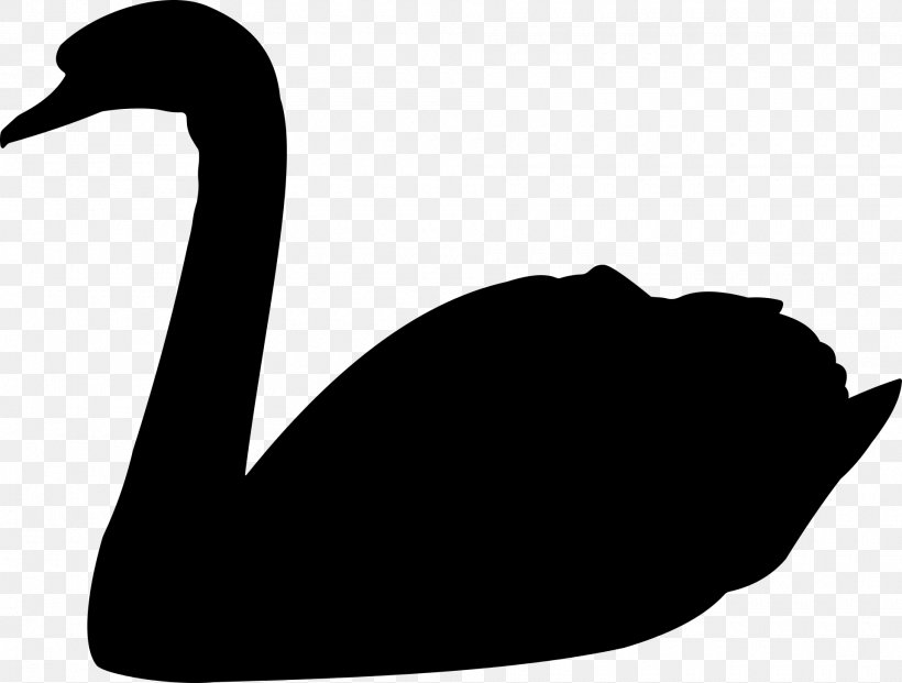 The Black Swan: The Impact Of The Highly Improbable Goose Trumpeter Swan Clip Art, PNG, 1920x1455px, Black Swan, Beak, Bird, Black And White, Cygnini Download Free