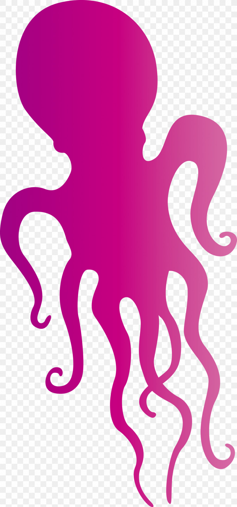 Octopus, PNG, 1406x2999px, Octopus, Biology, Character, Geometry, Line Download Free