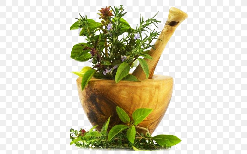 Thaibah Residency Kottakkal Ayurveda Indian Bdellium-tree Medicine Pharmacy, PNG, 512x512px, Ayurveda, Flowerpot, Health, Health Care, Herb Download Free