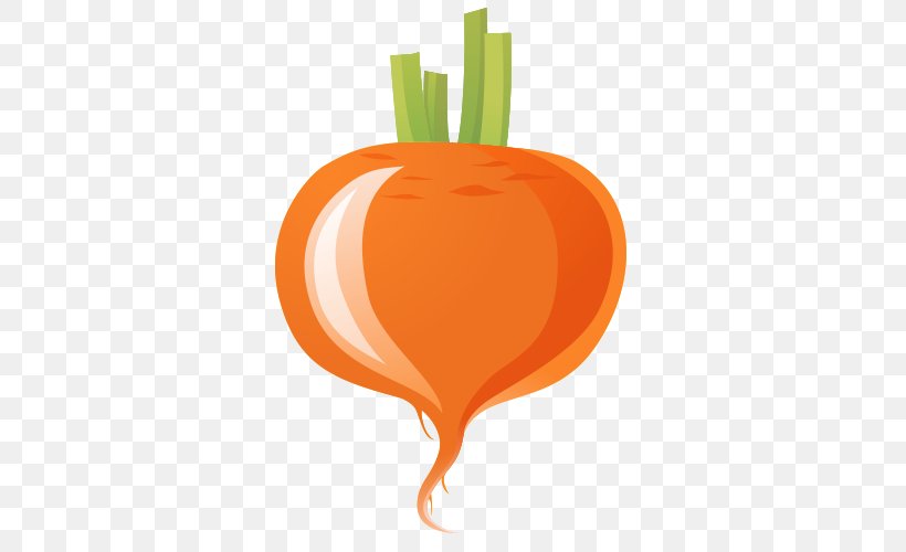 Carrot Cartoon Vegetable, PNG, 500x500px, Carrot, Cartoon, Daucus Carota, Dessin Animxe9, Drawing Download Free