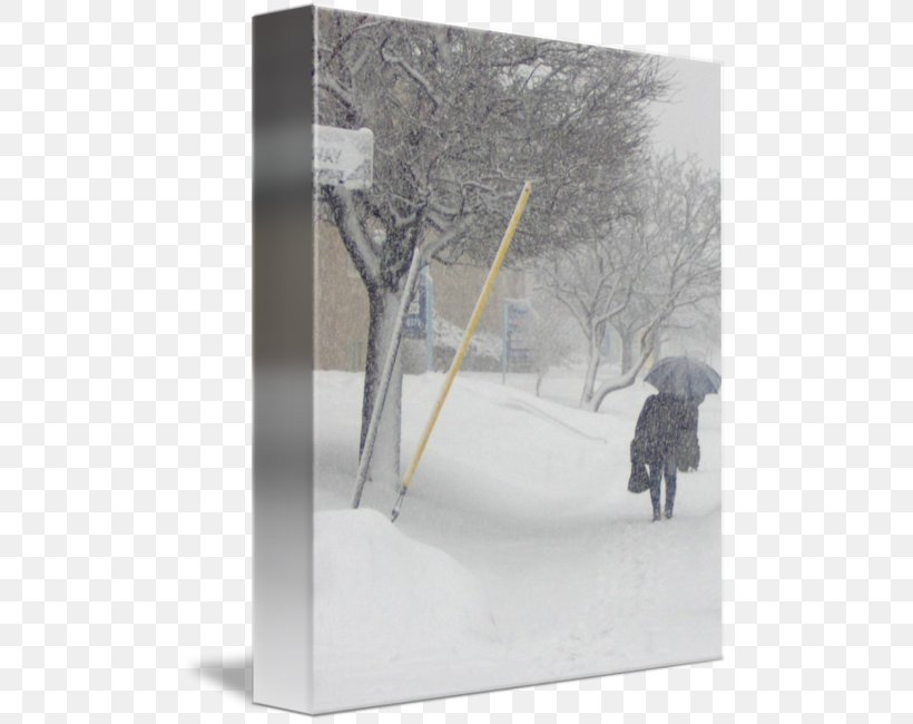 Product Design Snow Tree, PNG, 491x650px, Snow, Dagens Nyheter, Tree, Winter Download Free