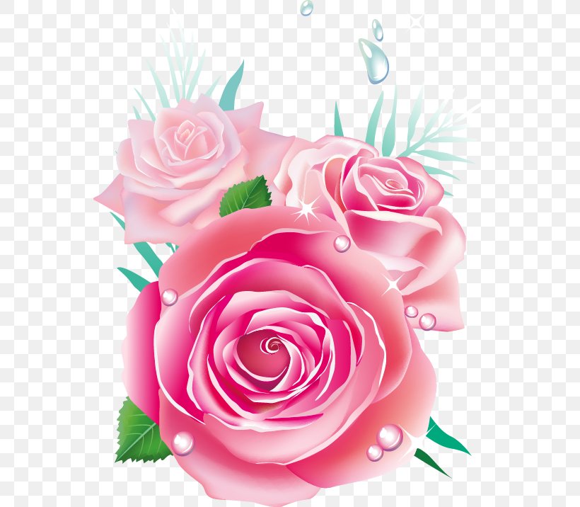 Rose Download, PNG, 555x716px, Rose, Artificial Flower, Cut Flowers, Floral Design, Floristry Download Free