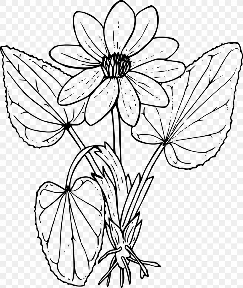 Coloring Book Wildflower Drawing, PNG, 1082x1280px, Coloring Book, Adult, Area, Artwork, Black And White Download Free