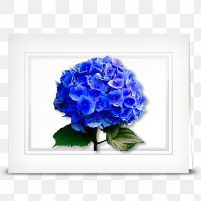 Hydrangea - Cut Flowers Hydrangea Blue Rose PNG