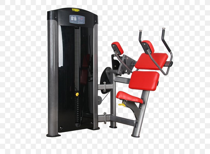 Fitness Centre Crunch Exercise Equipment Abdominal Exercise, PNG, 600x600px, Fitness Centre, Abdominal Exercise, Bodybuilding, Crunch, Exercise Download Free
