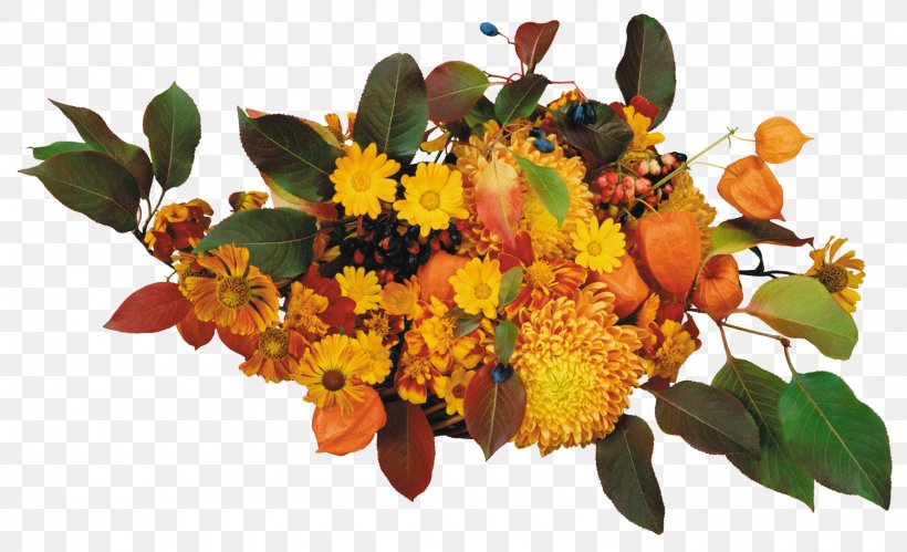 Good Daytime Respect Russia Holiday, PNG, 1500x914px, Good, Autumn, Charity, Cut Flowers, Daytime Download Free