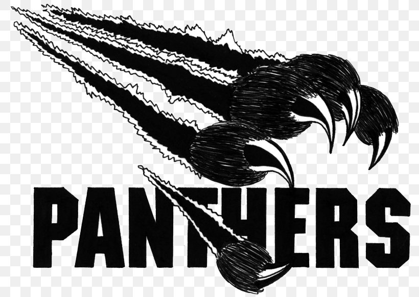 Logo Thonon Black Panthers American Football Carolina Panthers, PNG, 800x580px, Logo, American Football, Basketball, Black Panther, Black Panther Party Download Free