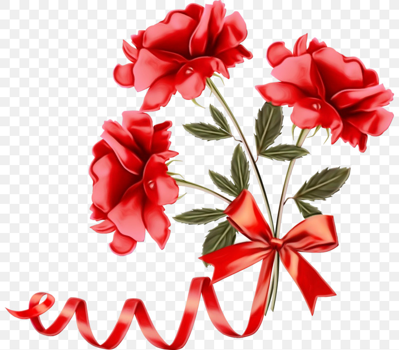 Red Flower Petal Plant Cut Flowers, PNG, 800x721px, Watercolor, Carmine, Carnation, Cut Flowers, Flower Download Free