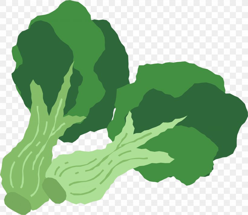 Broccoli Leaf Vegetable Food, PNG, 2624x2274px, Broccoli, Food, Grass, Green, Ingredient Download Free