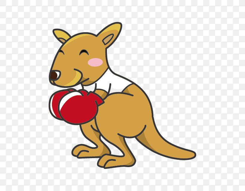 Drawing Kangaroo Boxing Dessin Animxe9, PNG, 639x639px, Drawing, Animation, Art, Boxing, Boxing Kangaroo Download Free