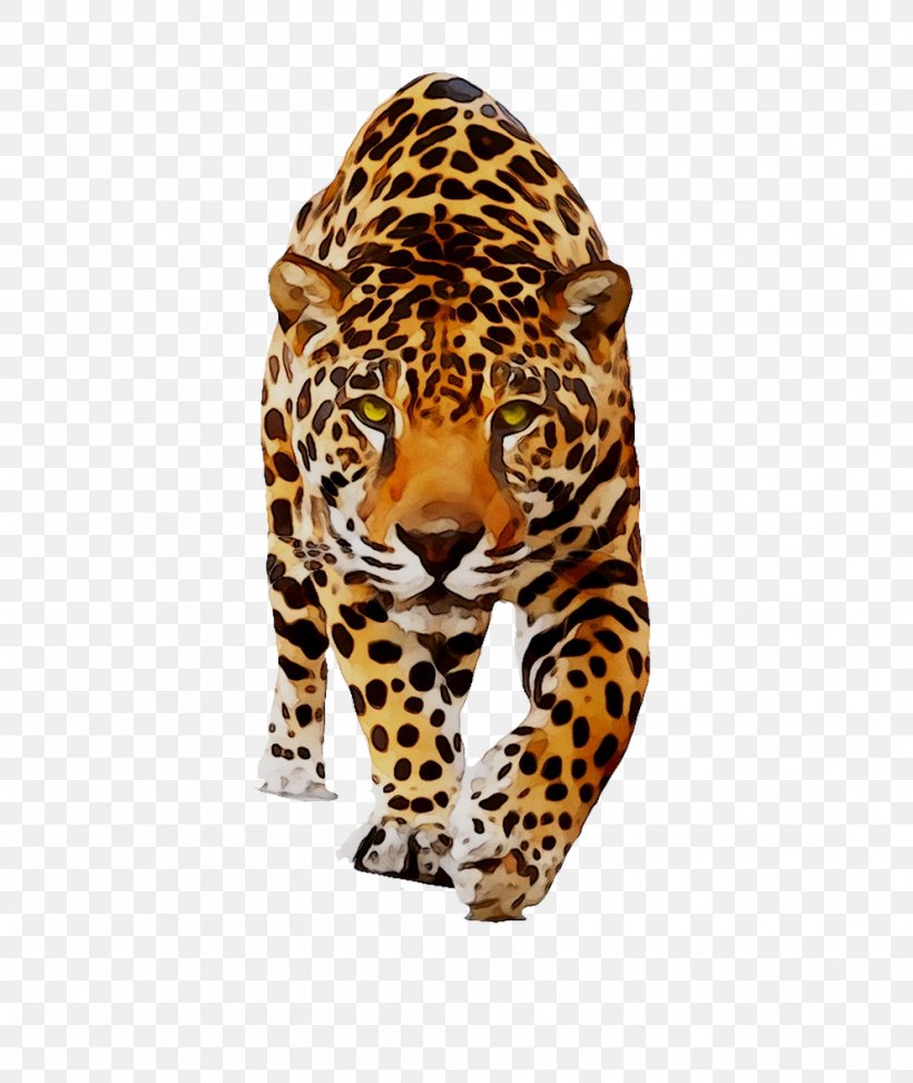 Jaguar Leopard Cat Animal Dog, PNG, 994x1179px, Jaguar, African Leopard, Animal, Animal Figure, Animal Sauvage Download Free