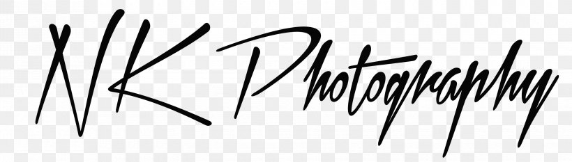 Logo Photography Black And White, PNG, 3300x940px, Watercolor, Cartoon, Flower, Frame, Heart Download Free