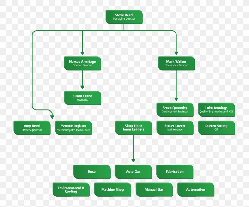 Organizational Structure FTL Company Ltd Limited Company Organizational Chart, PNG, 960x800px, Organization, Antal International Ltd, Board Of Directors, Brand, Building Download Free